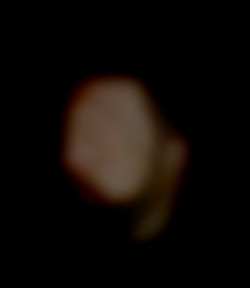 Member Image