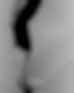 Member Image