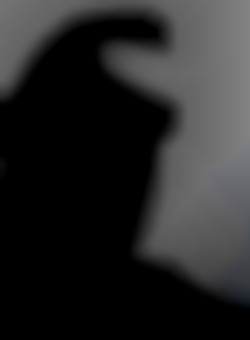 Member Image