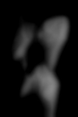 Member Image