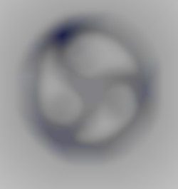 Member Image
