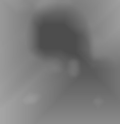 Member Image