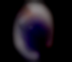Member Image