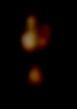 Member Image