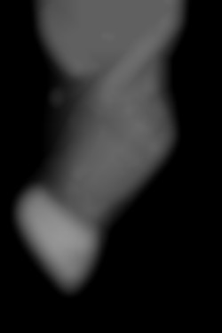 Member Image