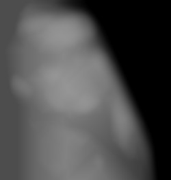 Member Image