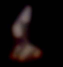 Member Image