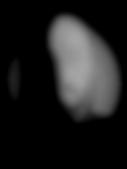 Member Image