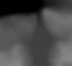 Member Image
