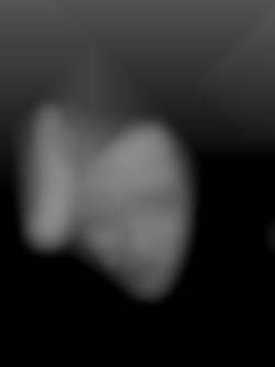 Member Image