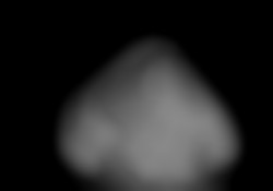 Member Image