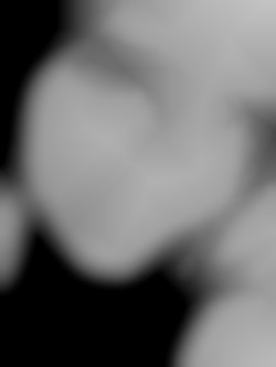Member Image