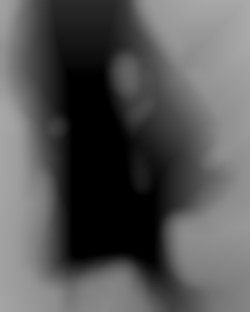 Member Image