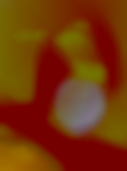 Member Image