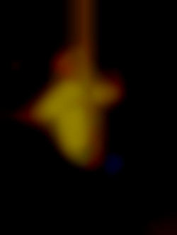 Member Image