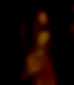 Member Image