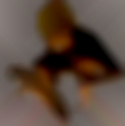 Member Image