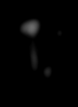 Member Image