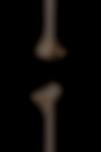 Member Image