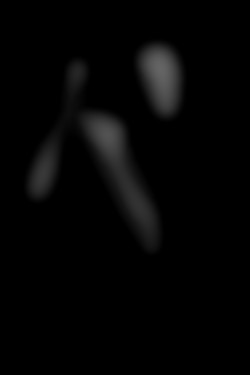 Member Image
