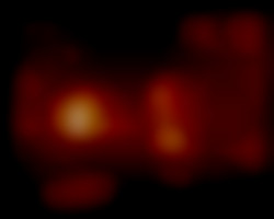 Member Image
