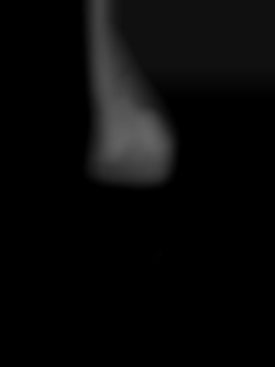 Member Image