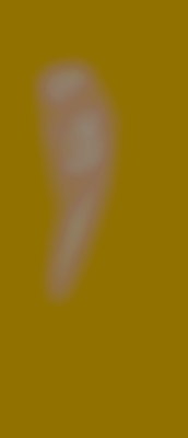 Member Image