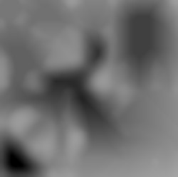 Member Image