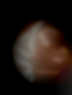 Member Image