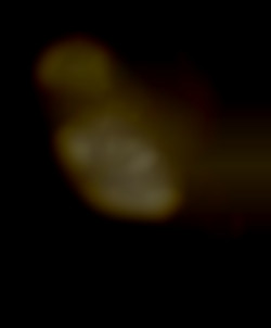 Member Image