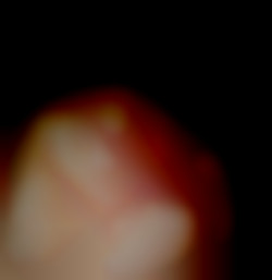 Member Image
